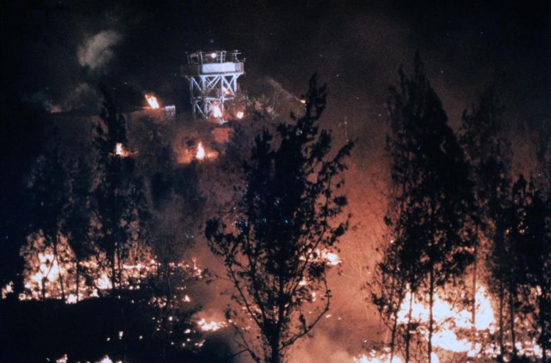 Angesichts der Wälder